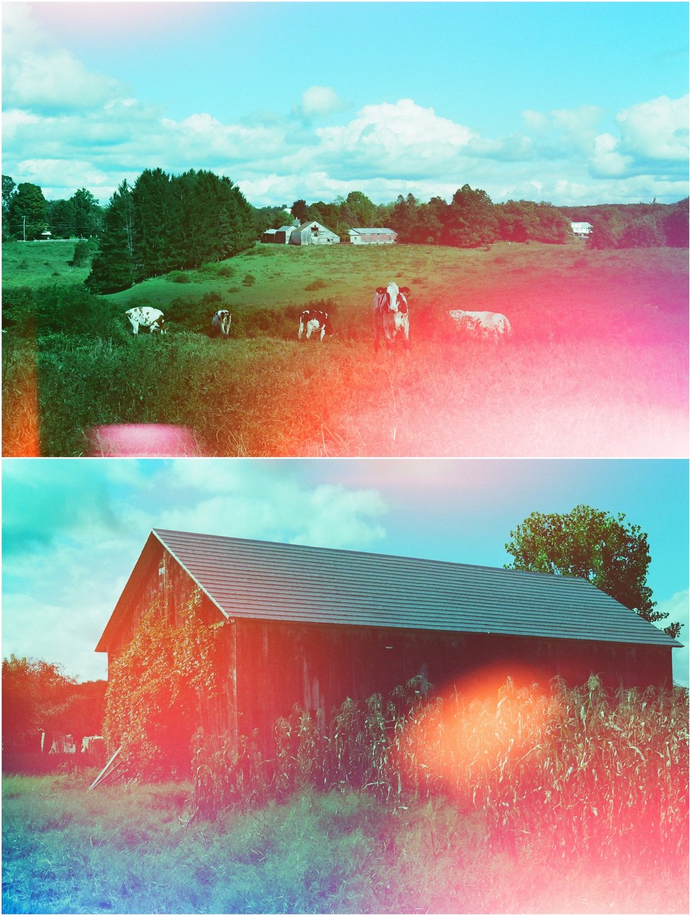 Hadley, September 2018