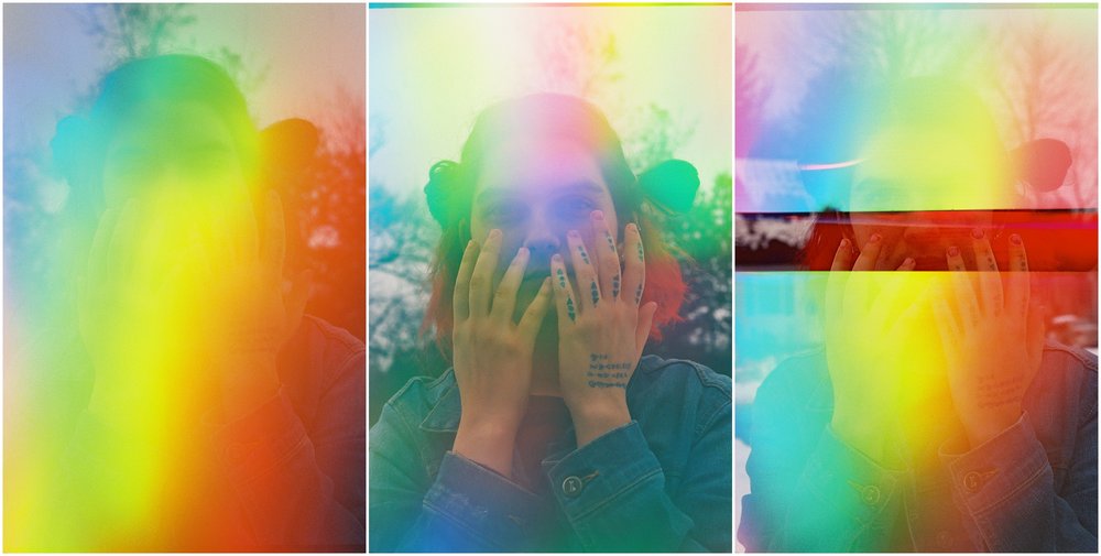 Meadow, January 2019