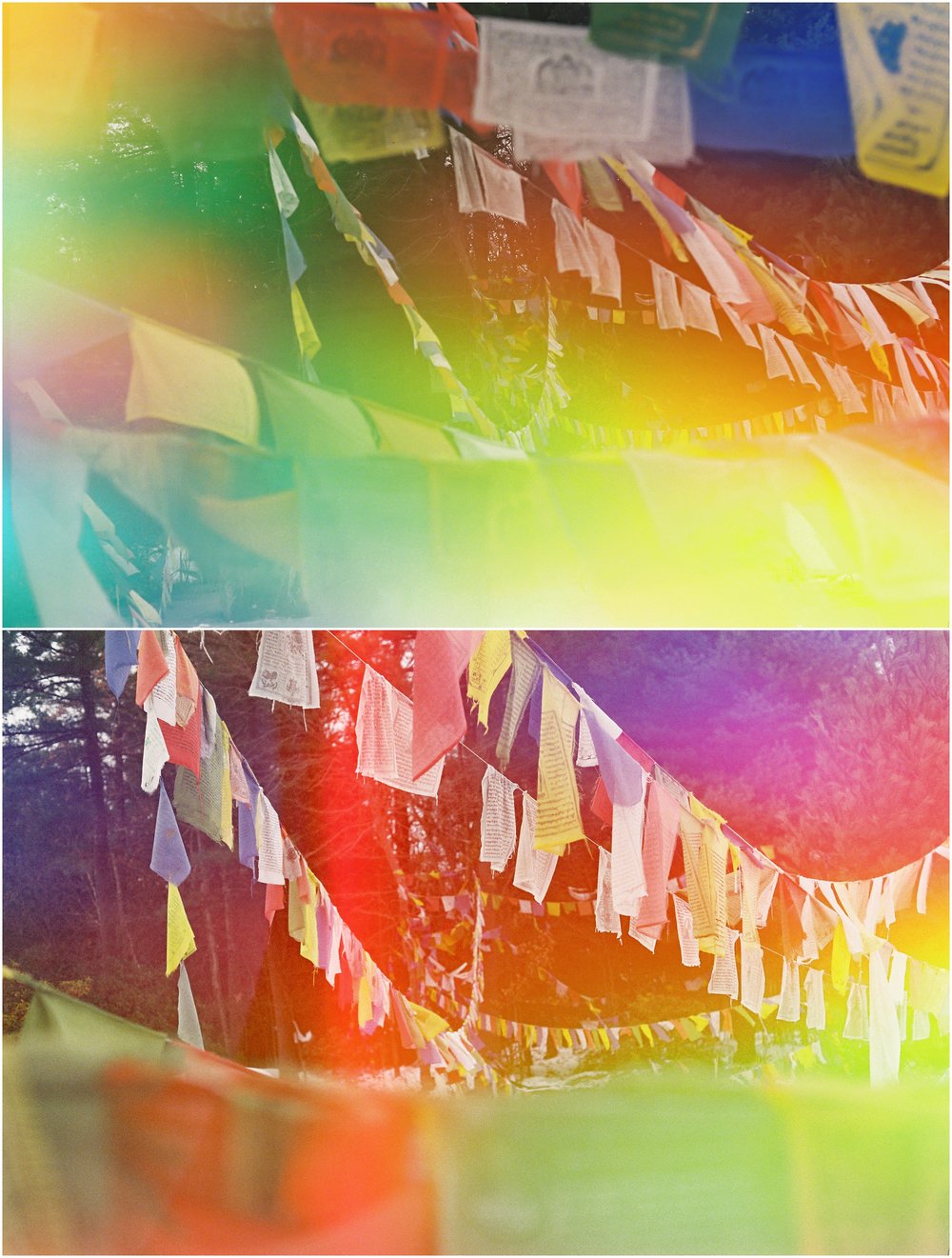 Peace Pagoda, November 2018