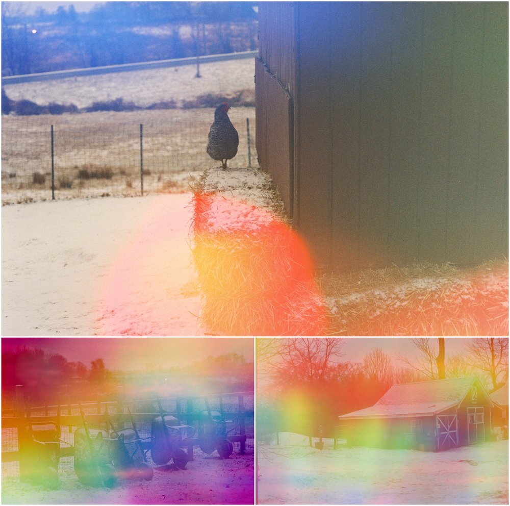 Hartsbrook School, February 2019