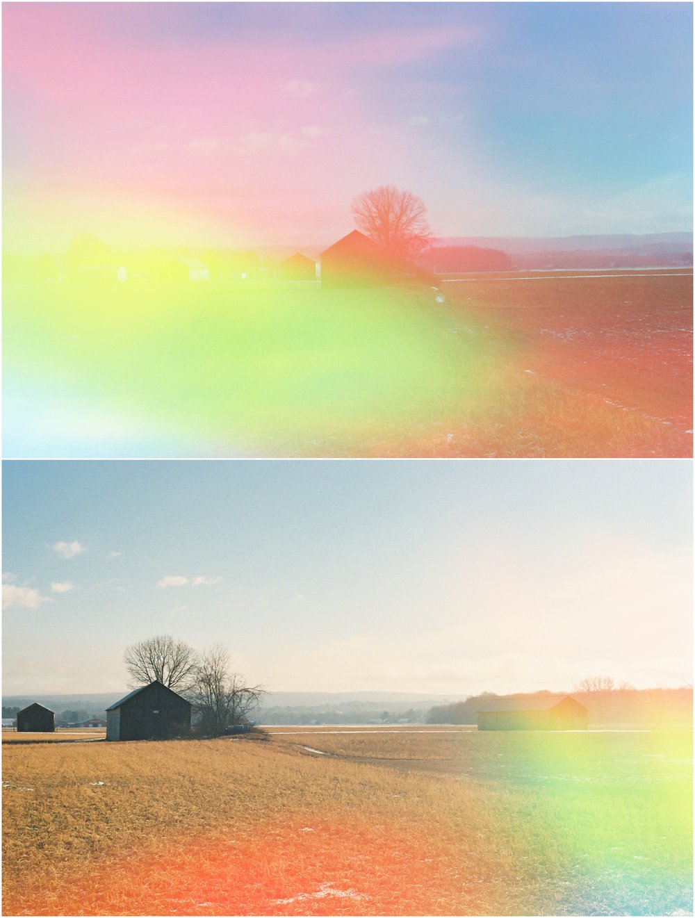 Hadley MA, September 2019