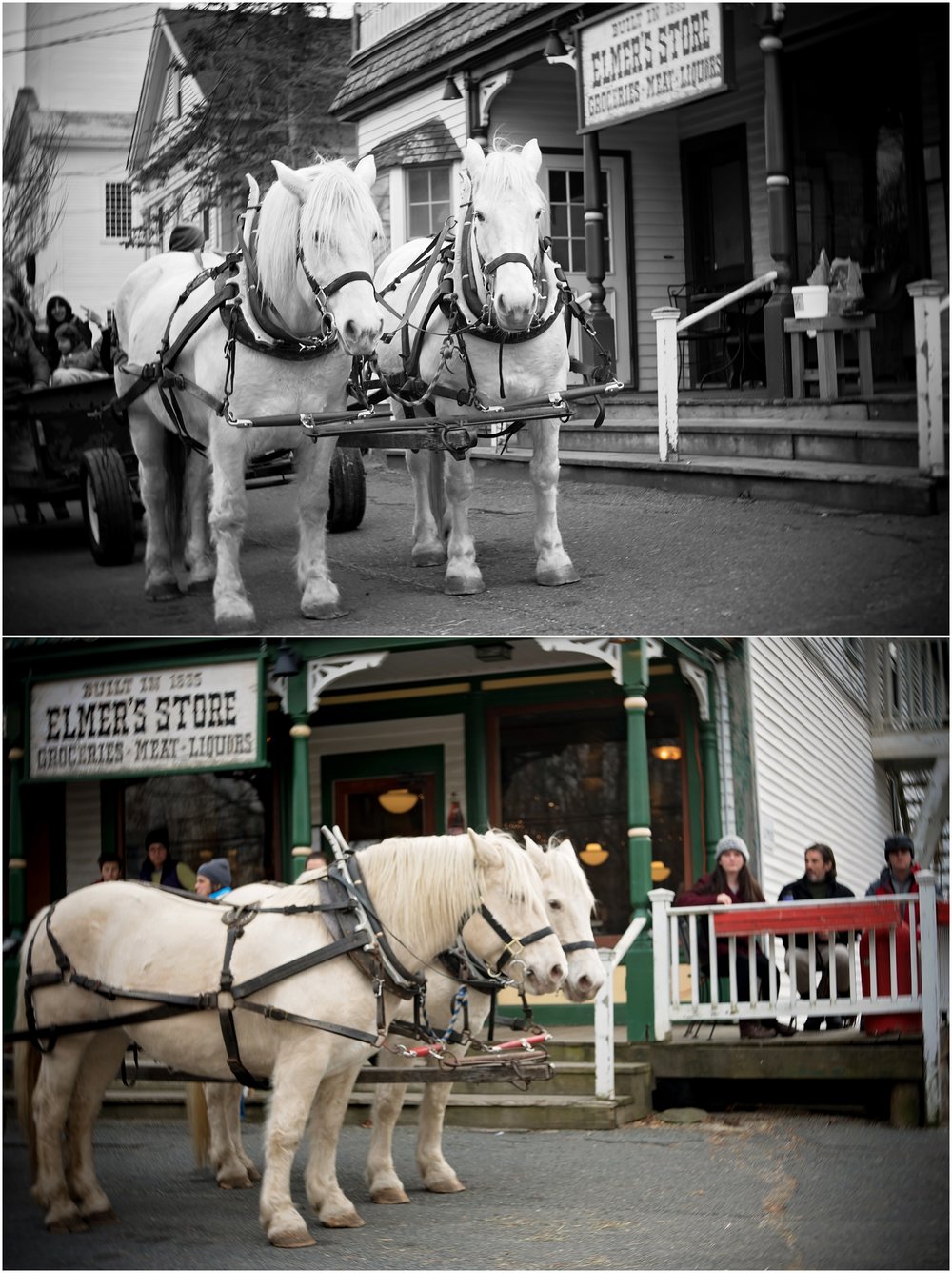 Horses, tea and scones on a cold wither day.... what could be better?