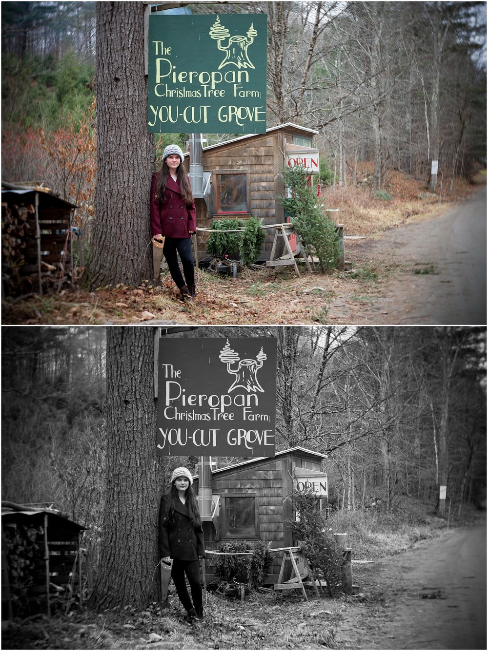 We LOVED this tree farm. But it was too muddy and slippery to hike up and down a mountain with our tree, so we compromised and got a wreath here, but headed to another farm to cut down our &nbsp;tree.
