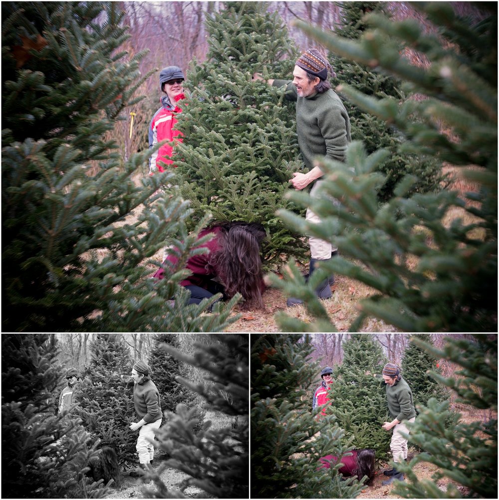 The top image is the image I submitted to &nbsp;Wish You Were Here week 48.&nbsp;