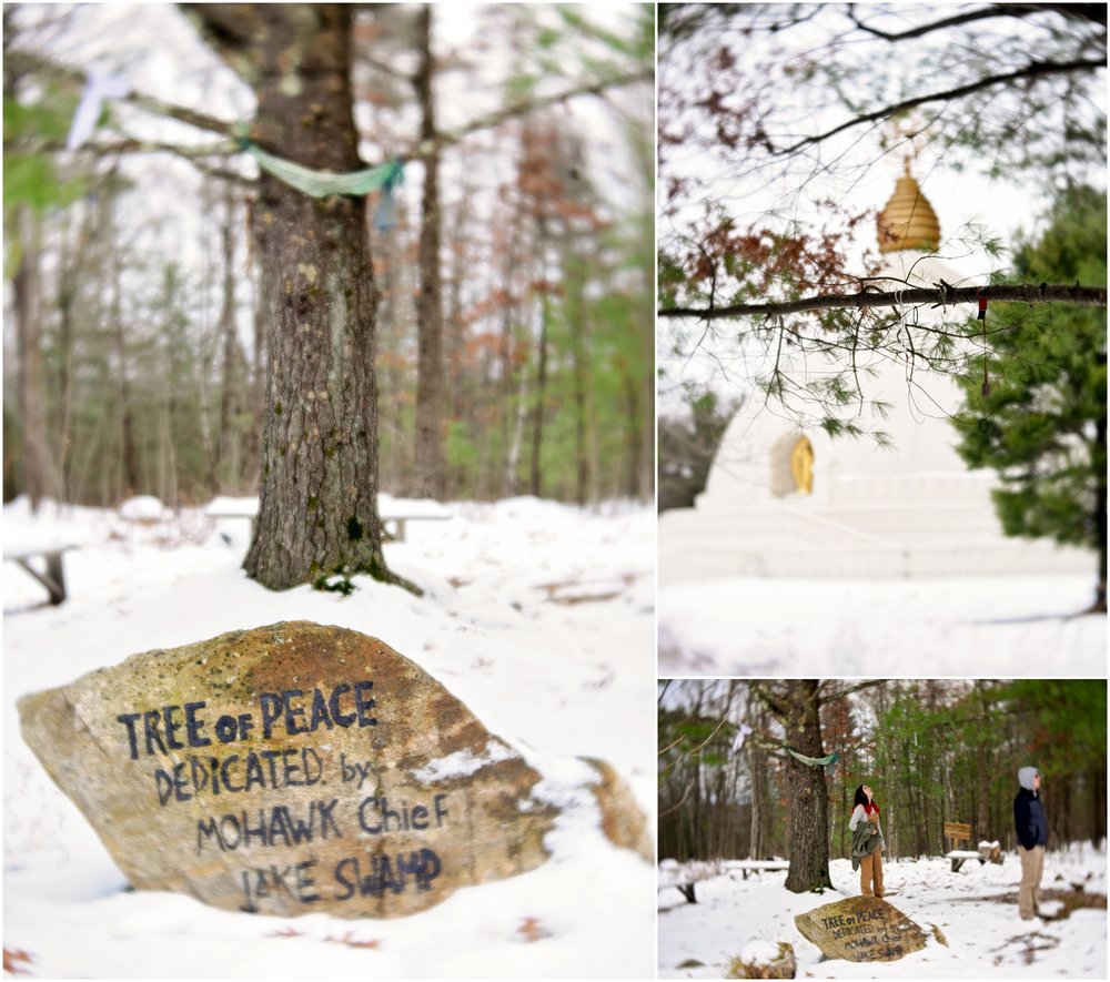 20181124_365 Project 2018_328.365_002.jpg