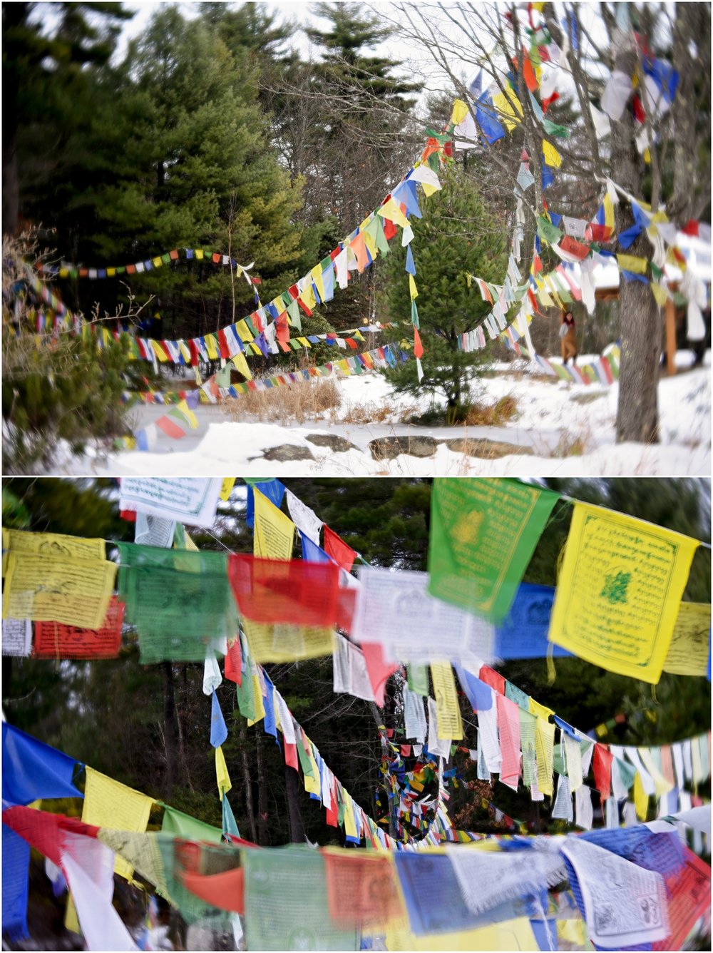 20181124_365 Project 2018_328.365_018.jpg