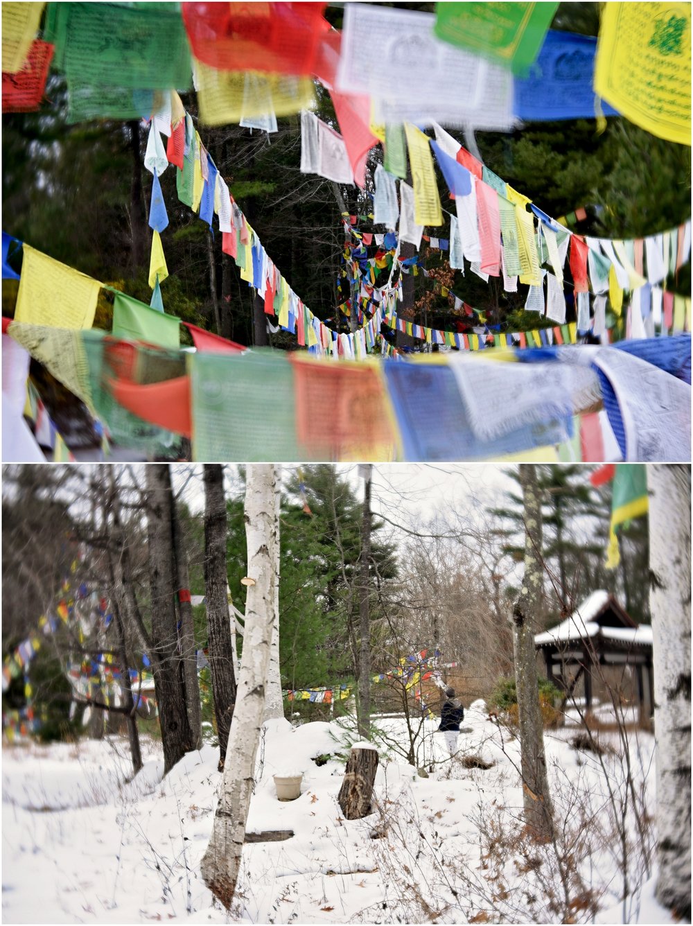 20181124_365 Project 2018_328.365_024.jpg