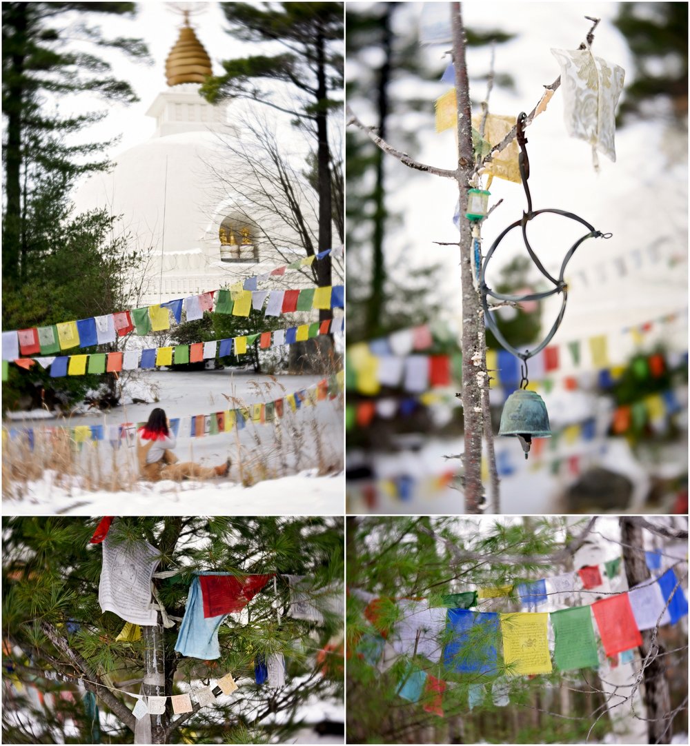 20181124_365 Project 2018_328.365_042.jpg