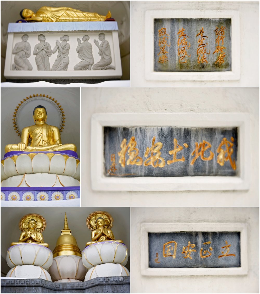 20181124_365 Project 2018_328.365_067.jpg