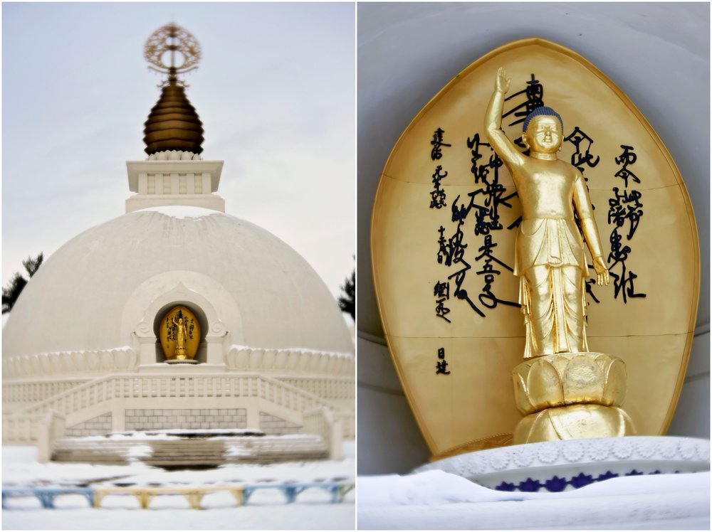 20181124_365 Project 2018_328.365_123.jpg