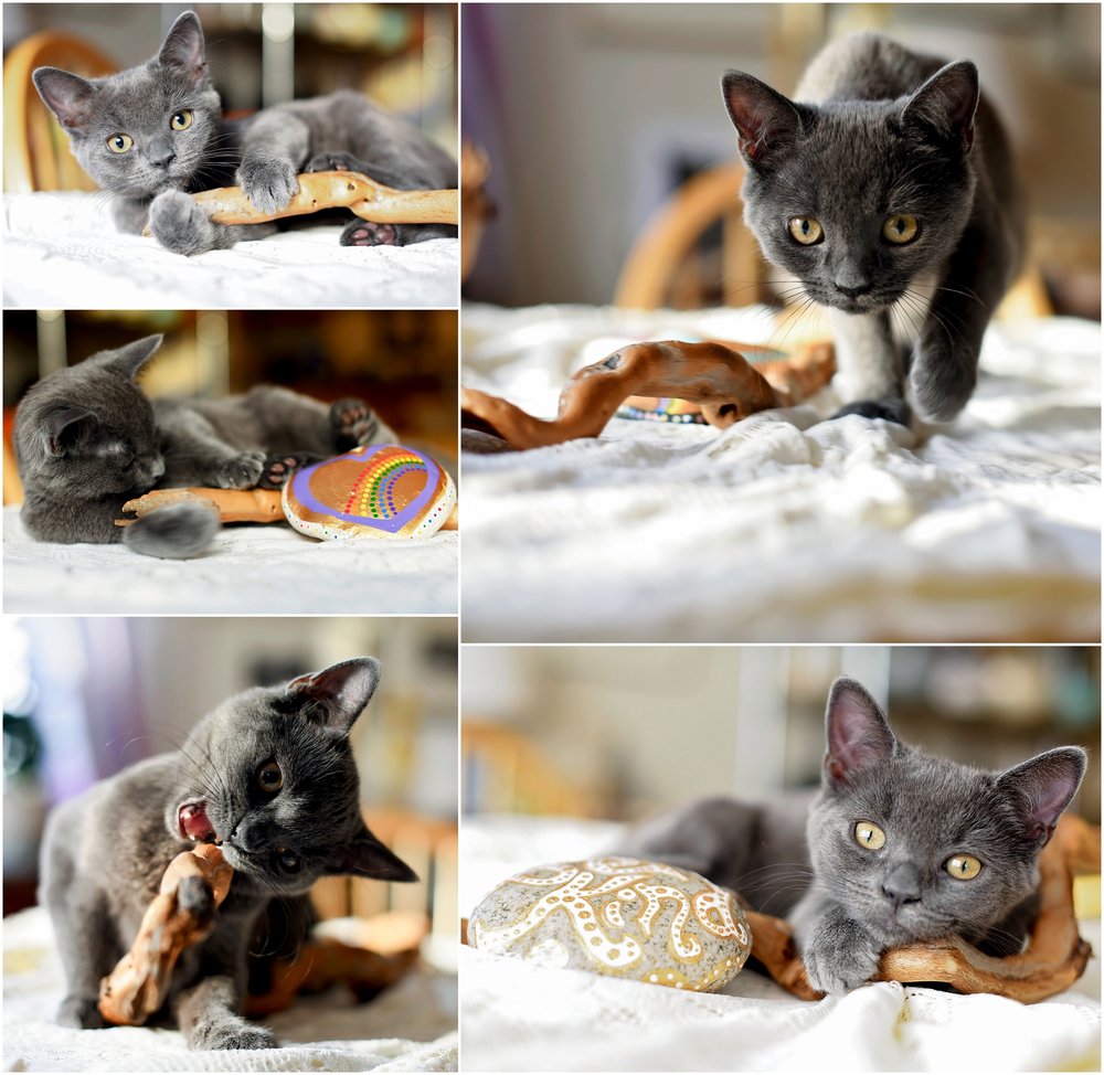 20181204_365 Project 2018_338.365_018.jpg