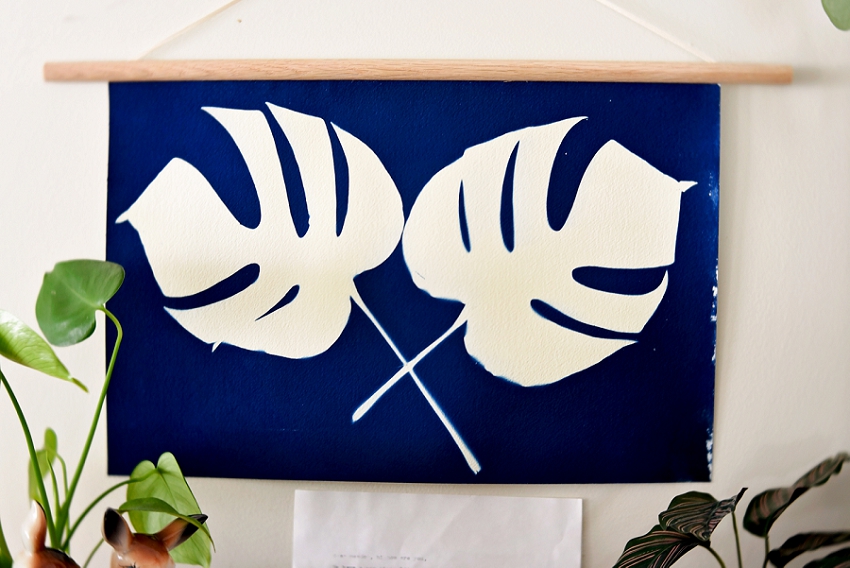 20190202_365 Project 2019_365.033_0080.jpg