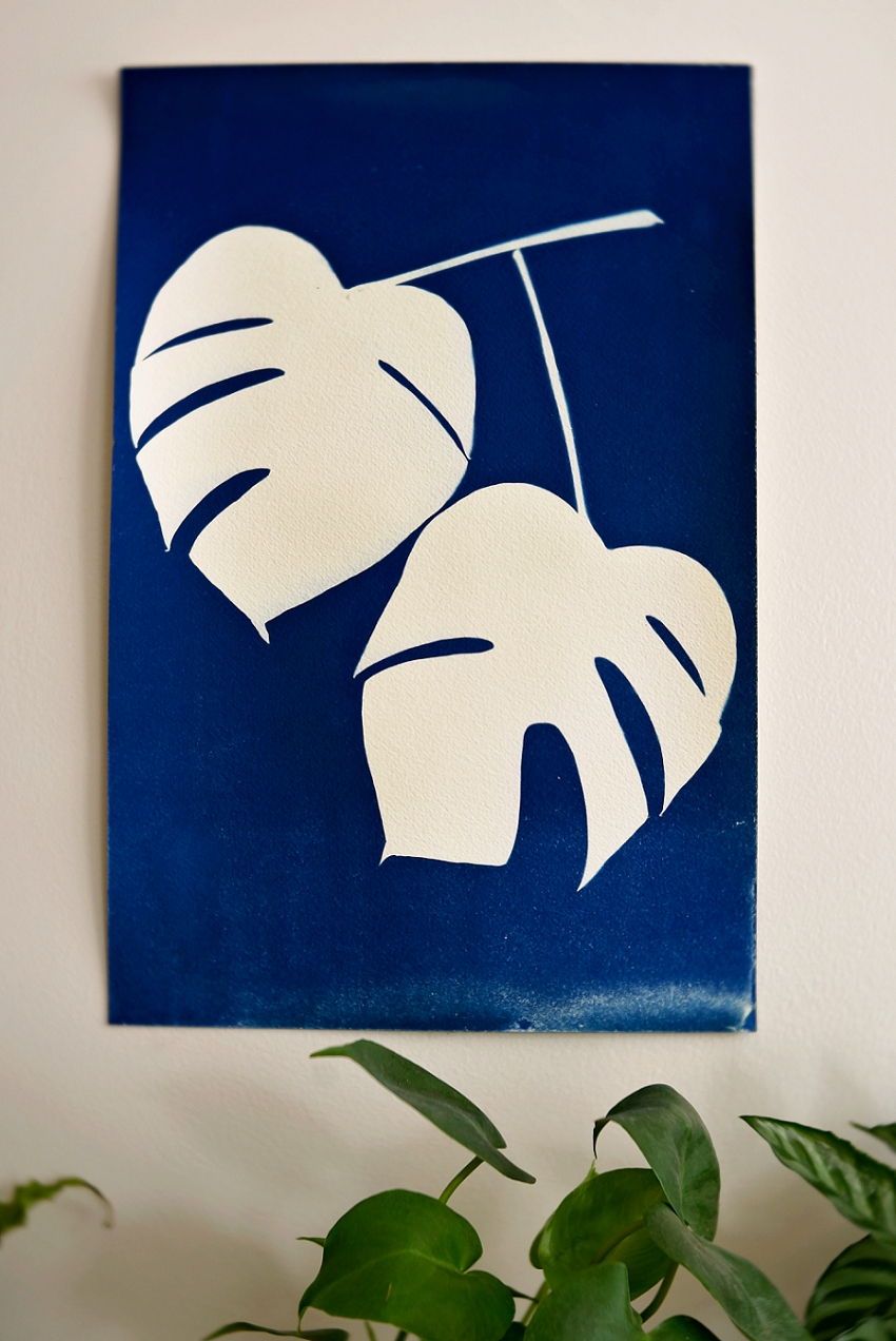 20190202_365 Project 2019_365.033_0101.jpg