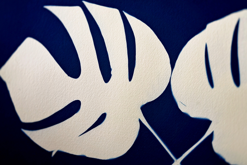 20190202_365 Project 2019_365.033_0110.jpg