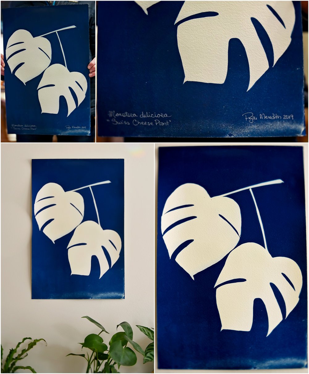 20190202_365 Project 2019_365.033_0115.jpg