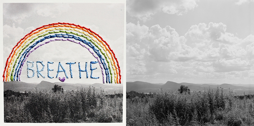 20190328_365 Project 2019_365.087_0014.jpg