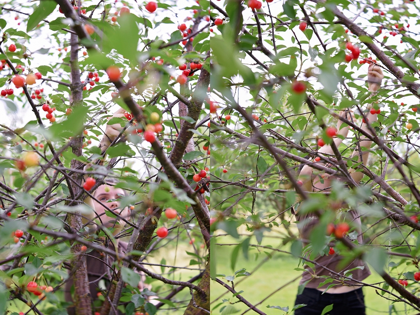 20190630_365 Project 2019_365.181_104.jpg