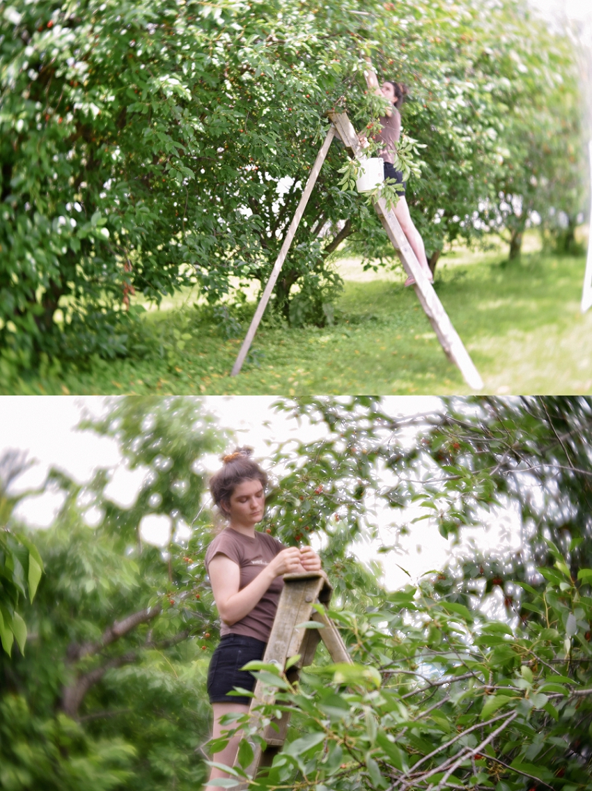 20190630_365 Project 2019_365.181_11.jpg