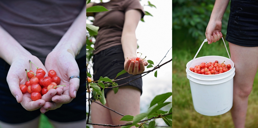 20190630_365 Project 2019_365.181_131.jpg