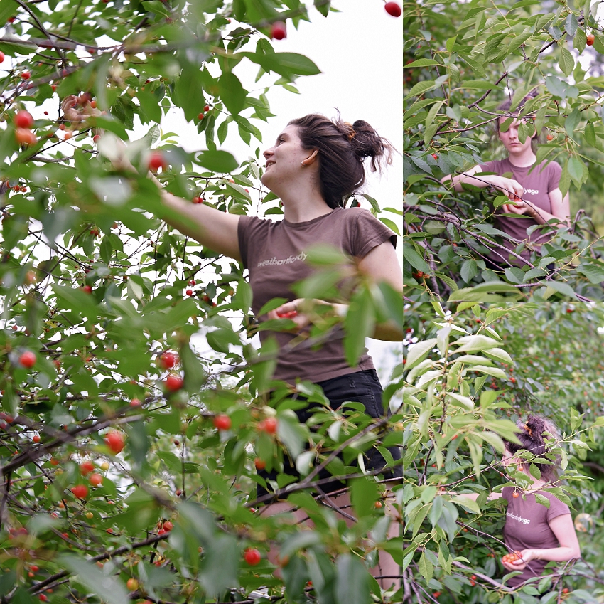 20190630_365 Project 2019_365.181_172.jpg