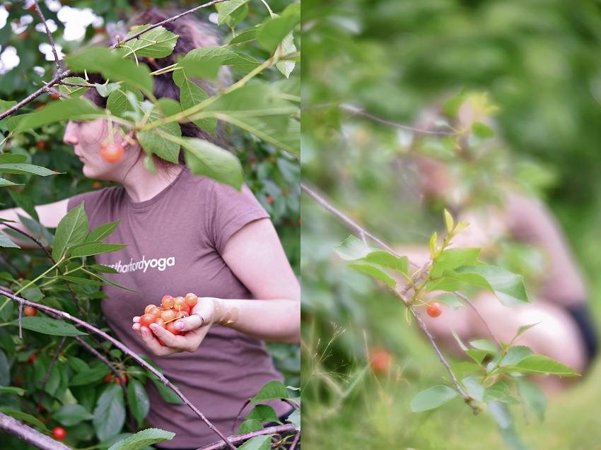 20190630_365 Project 2019_365.181_188.jpg