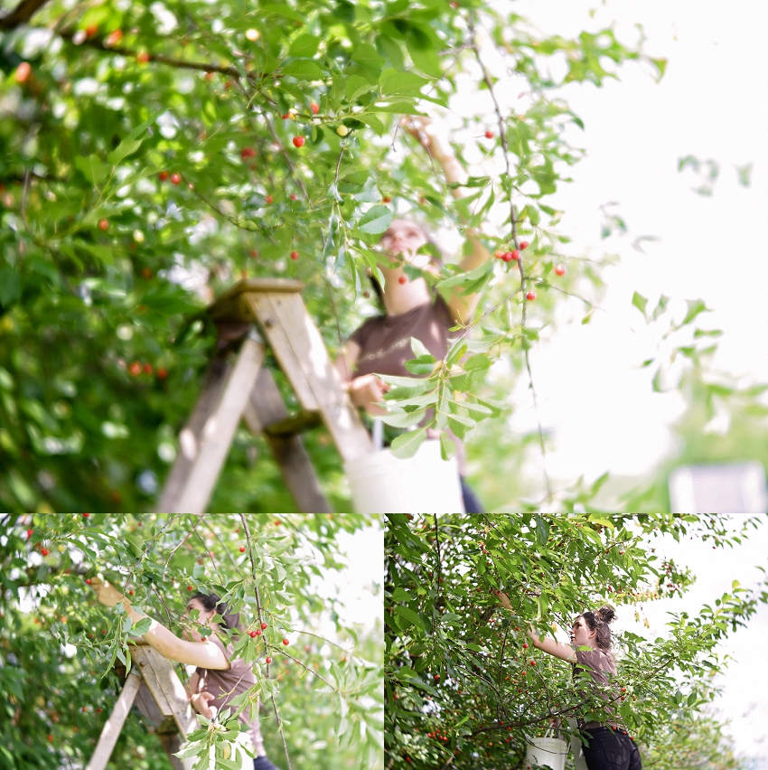 20190630_365 Project 2019_365.181_3.jpg