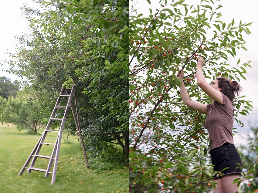 20190630_365 Project 2019_365.181_93.jpg