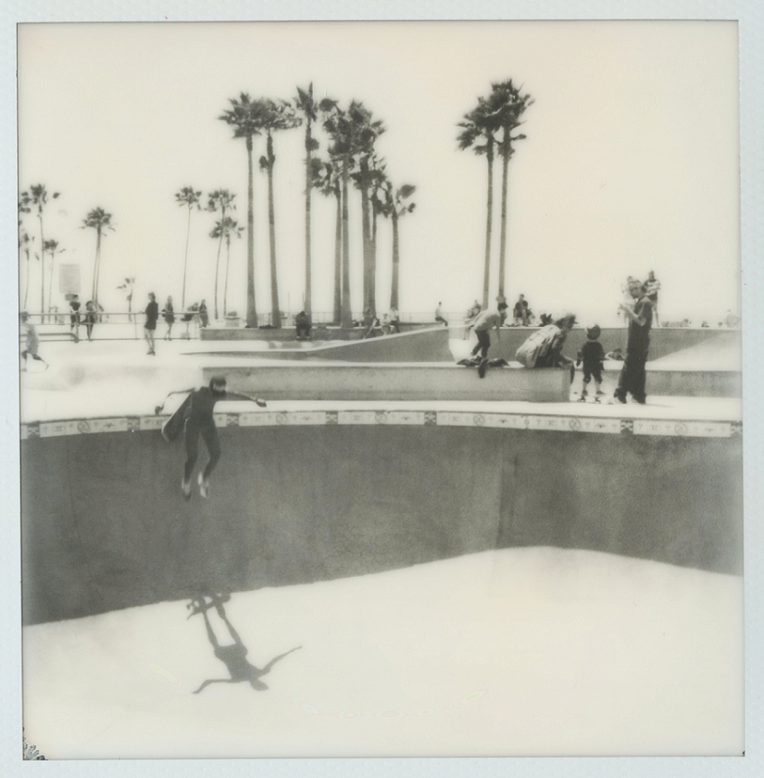 Venice Beach Skate Park