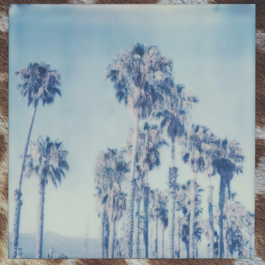 Santa Barbara CA (expired film)