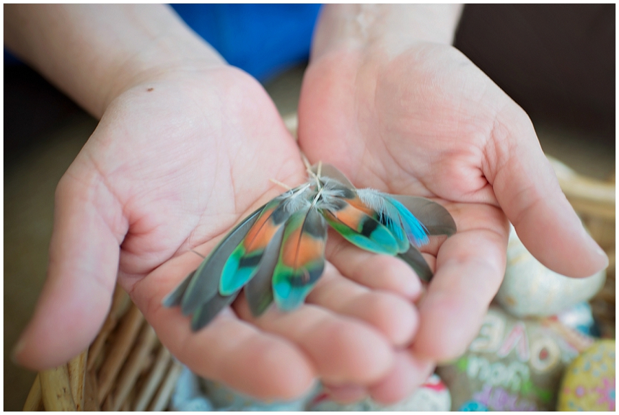 Phyllis Meredith Photography