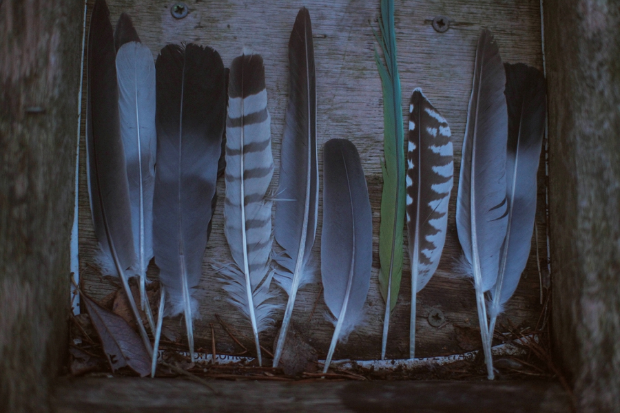 Lili Love Photography&nbsp;