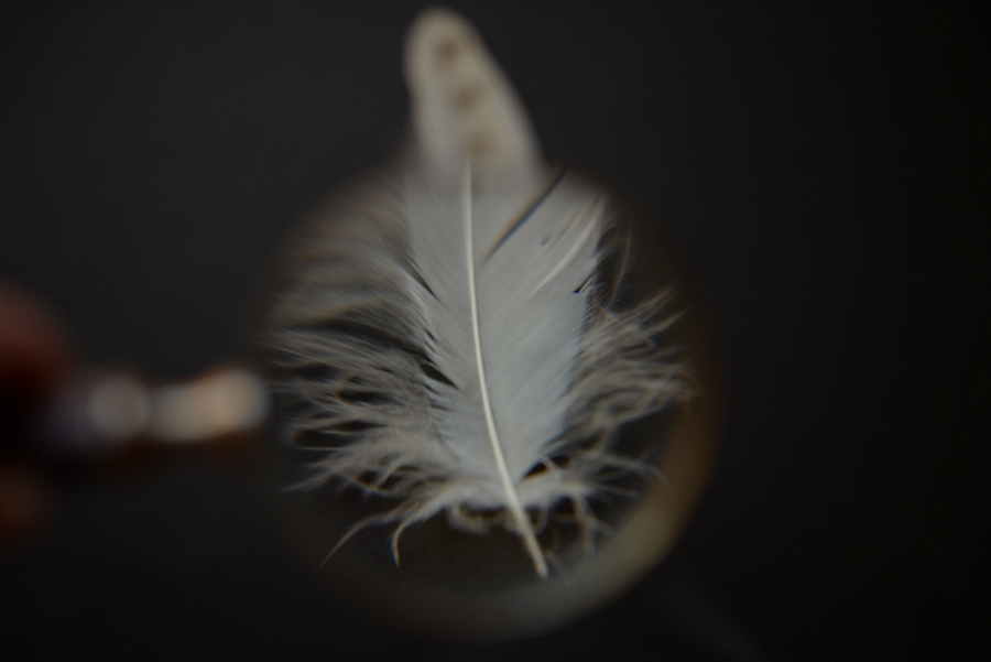 Phyllis Meredith Photography&nbsp;