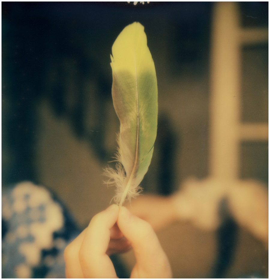 Phyllis Meredith Photography&nbsp;