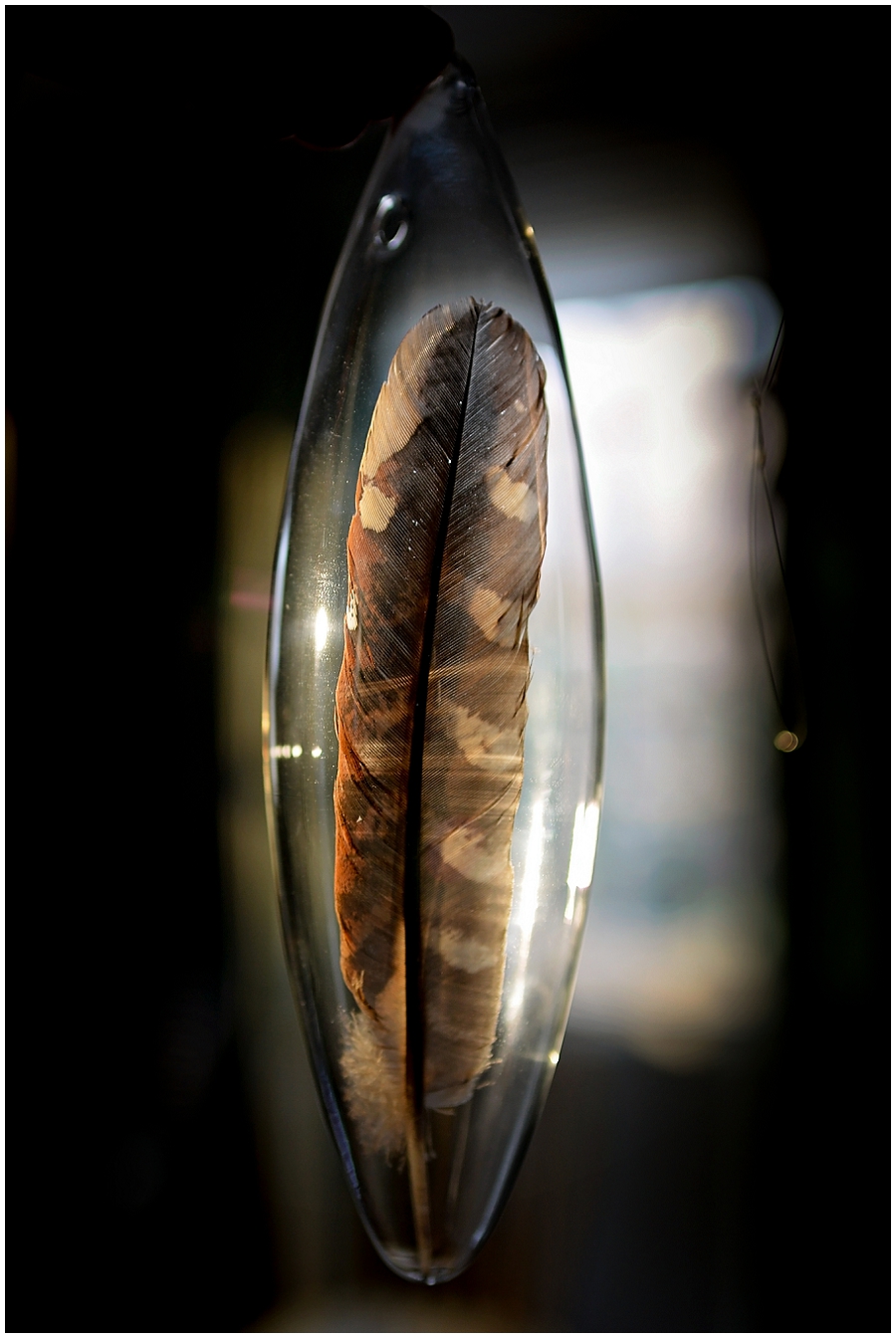 Phyllis Meredith Photography&nbsp;