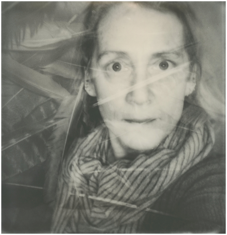 Phyllis Meredith Photography&nbsp;