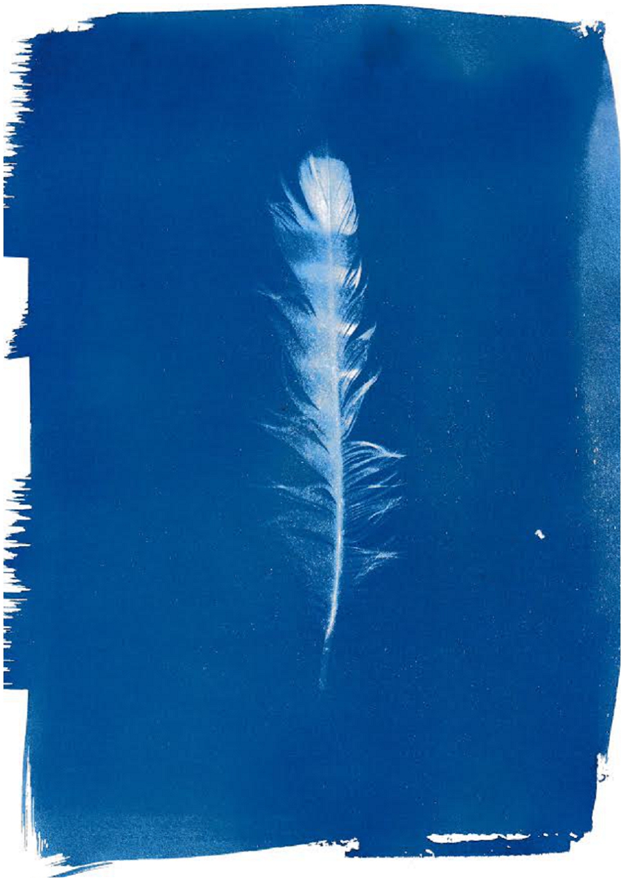 Lili Love Photography&nbsp;