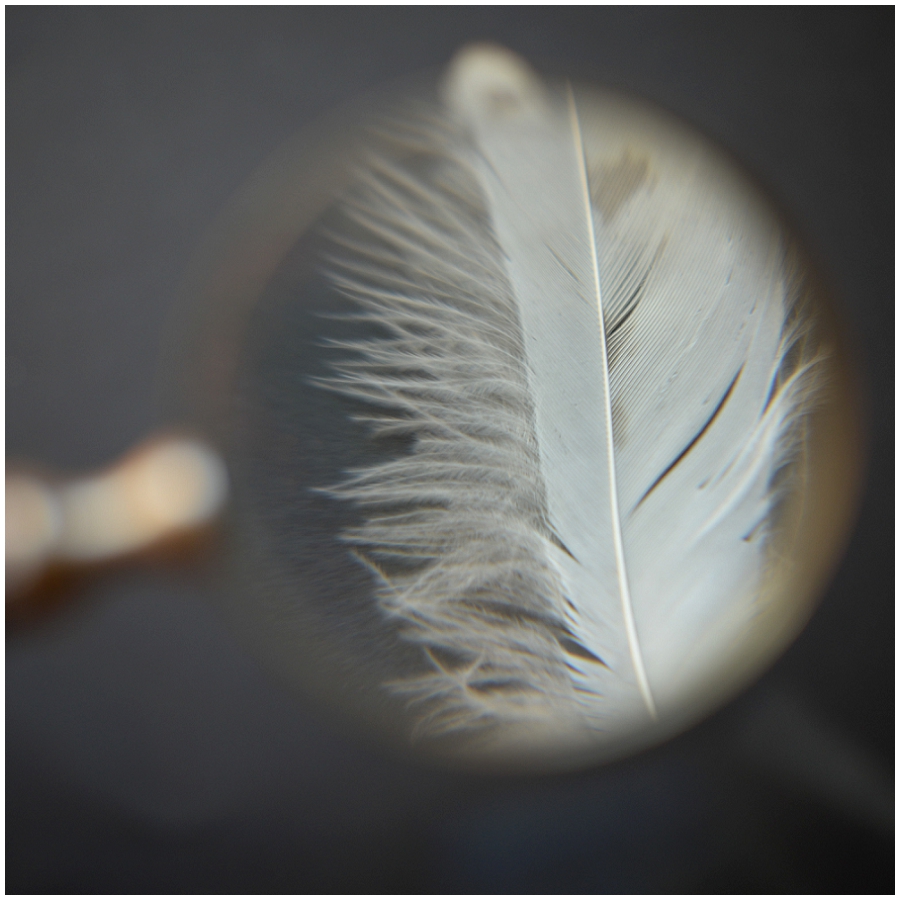 Phyllis Meredith Photography&nbsp;