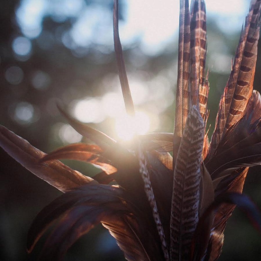 Lili Love Photography