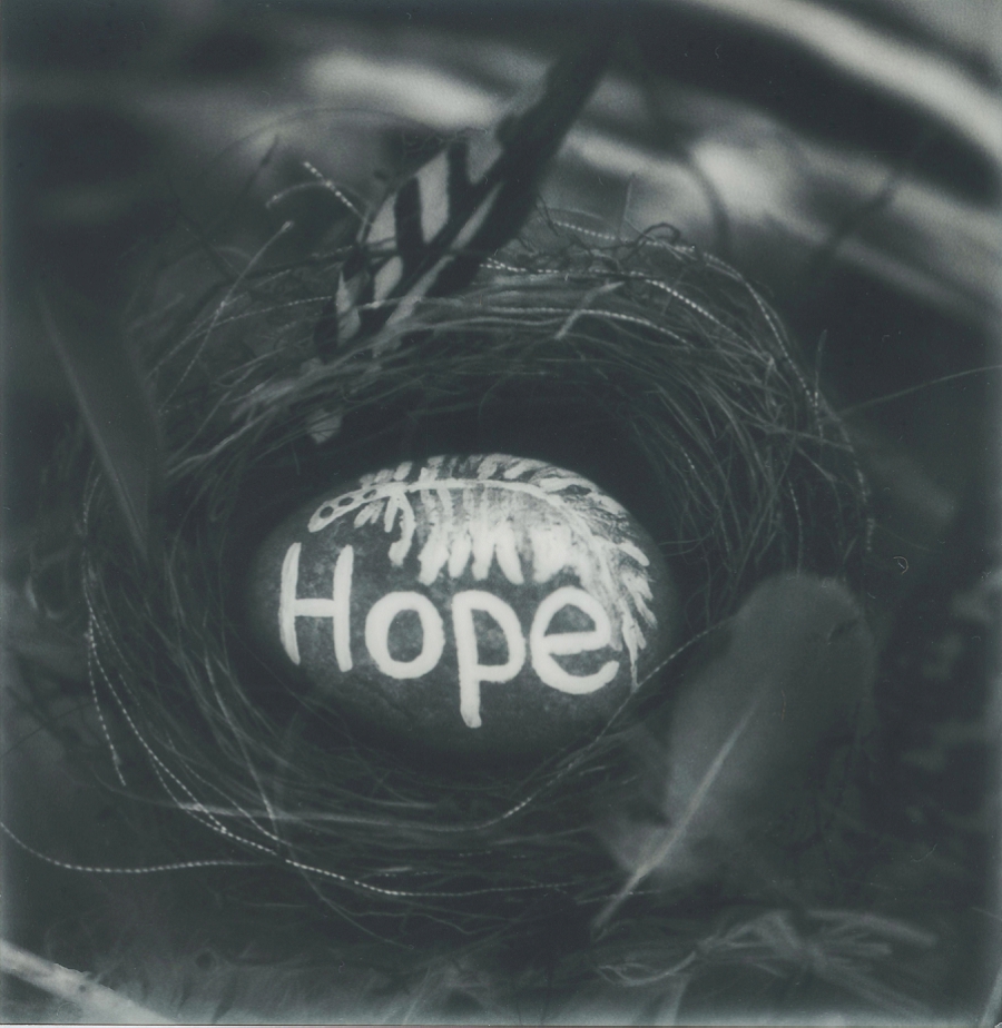 Phyllis Meredith Photography