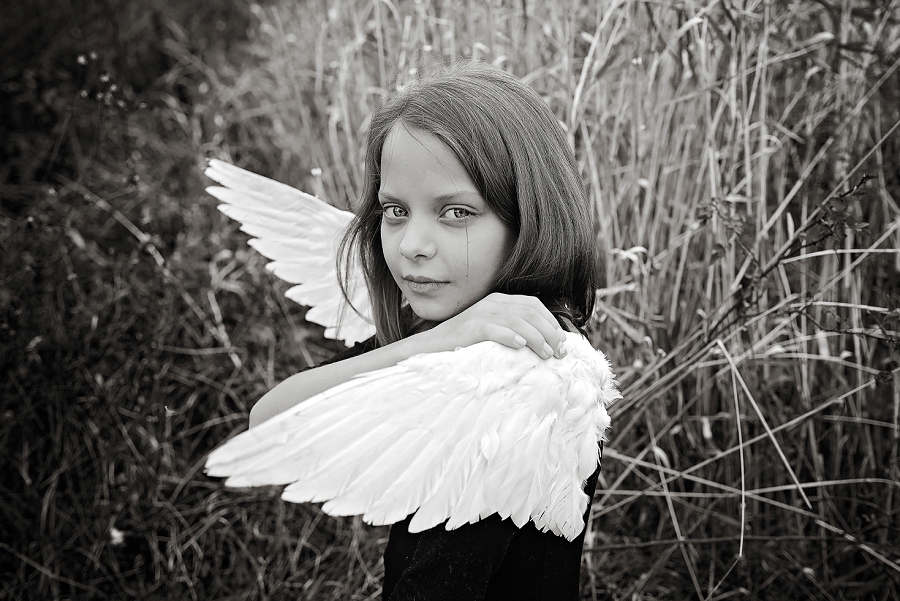 Phyllis Meredith Photography&nbsp;