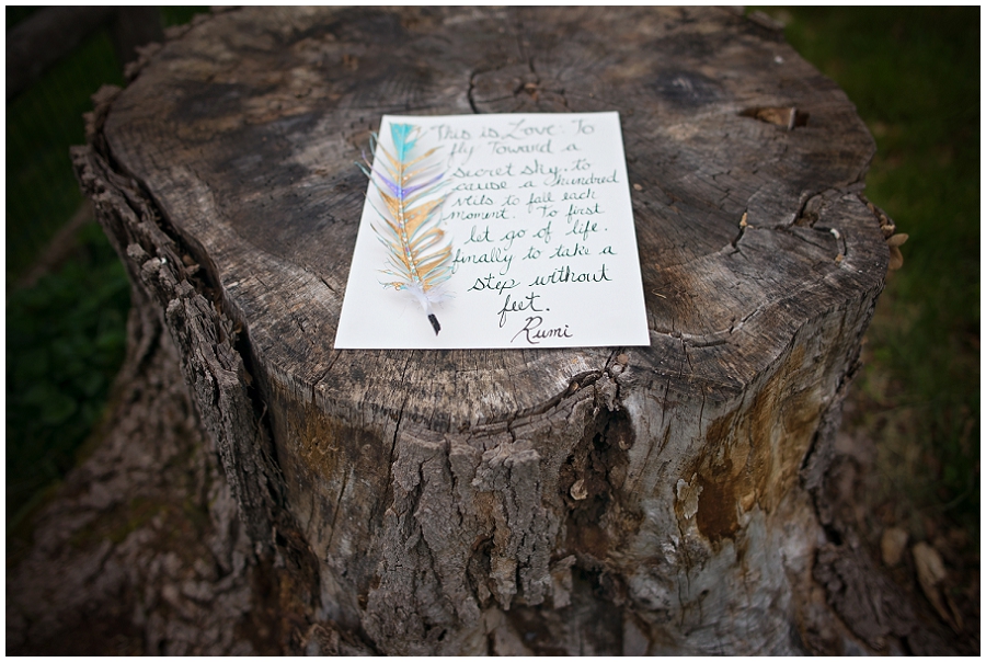 Phyllis Meredith Photography