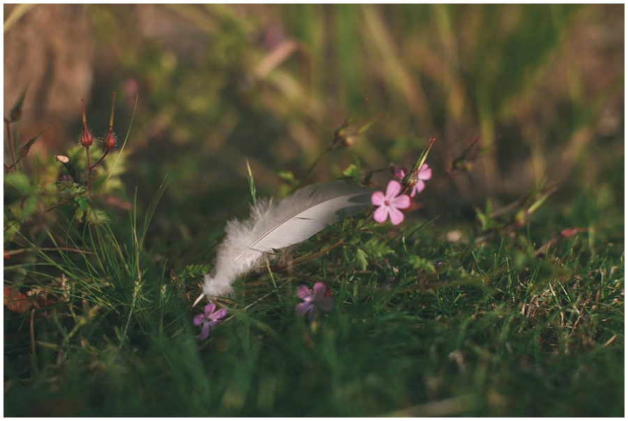 Lili Love Photography