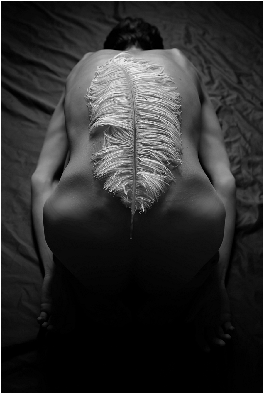 Phyllis Meredith Photography