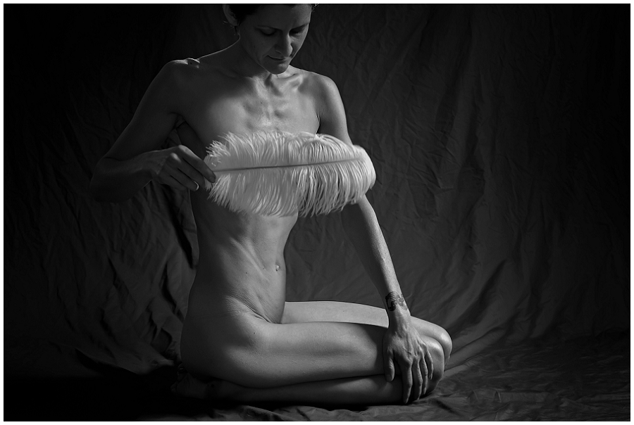 Phyllis Meredith Photography