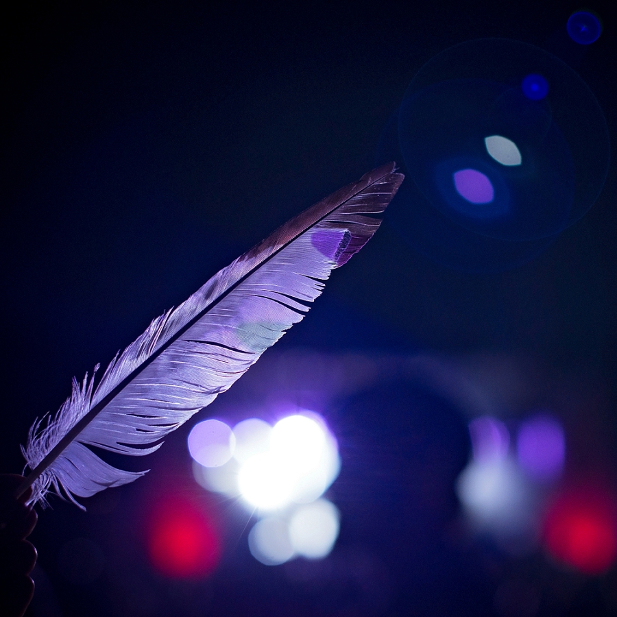 Phyllis Meredith Photography&nbsp;