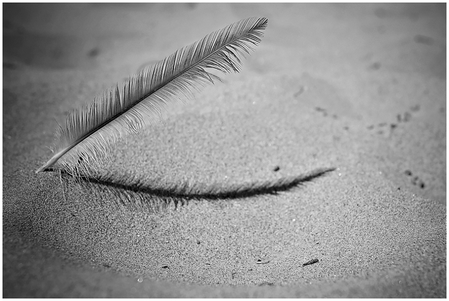 Phyllis Meredith Photography&nbsp;