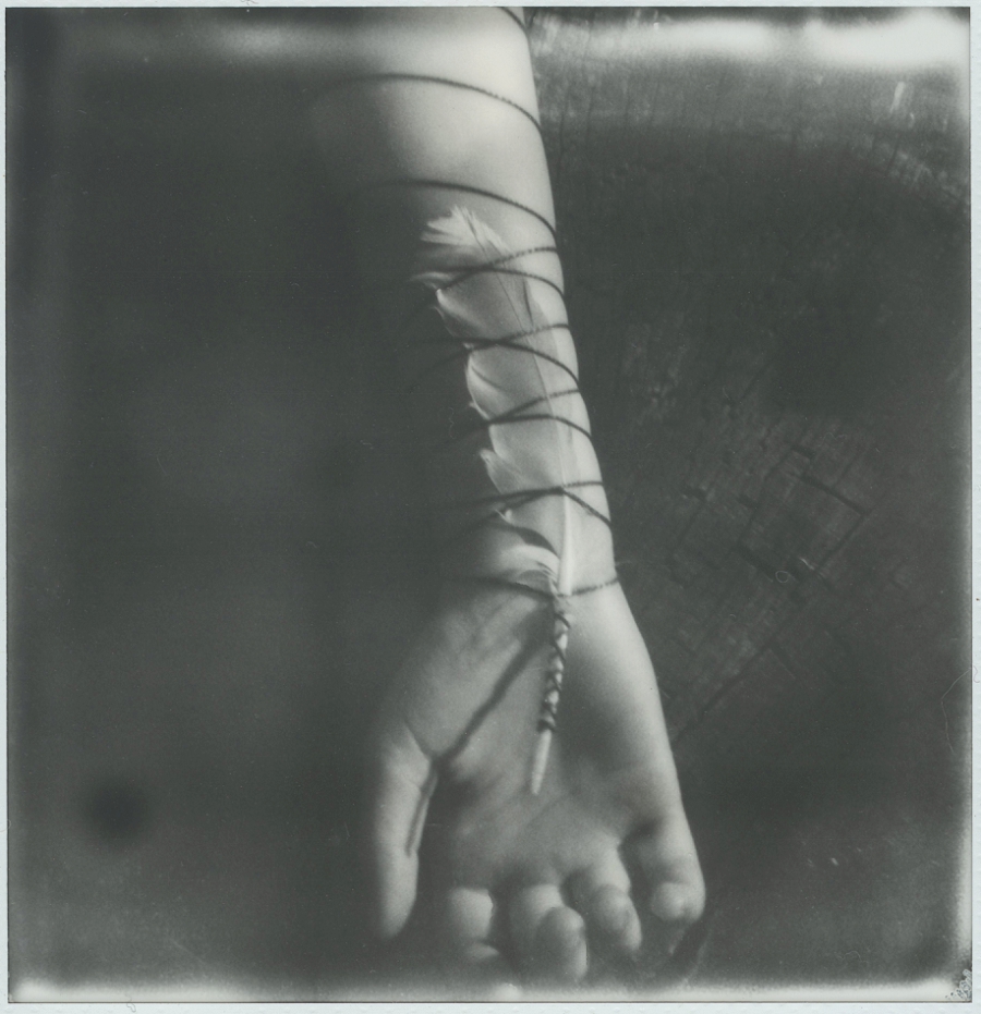 Phyllis Meredith Photography&nbsp;