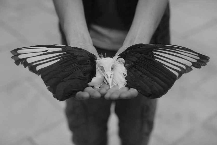 Lili Love Photography