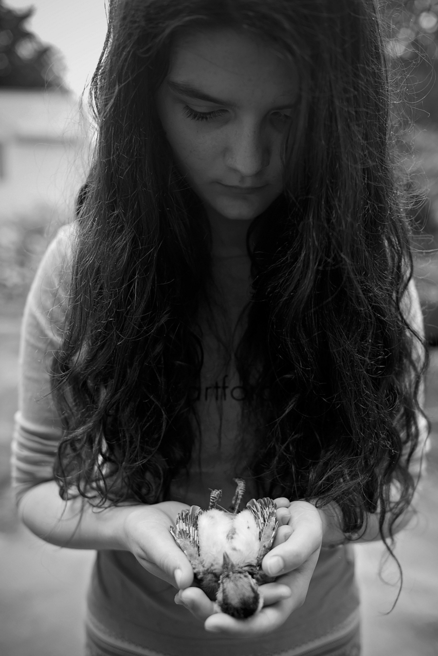 Phyllis Meredith Photography