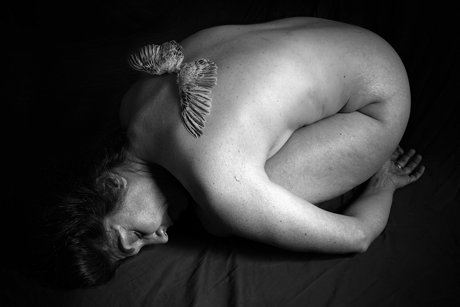 Phyllis Meredith Photography&nbsp;